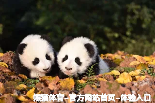 逢今瑶