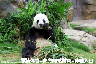 方保哲