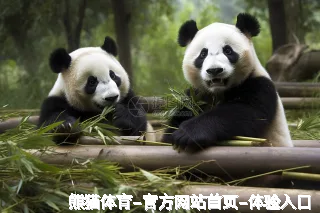 盖菊华